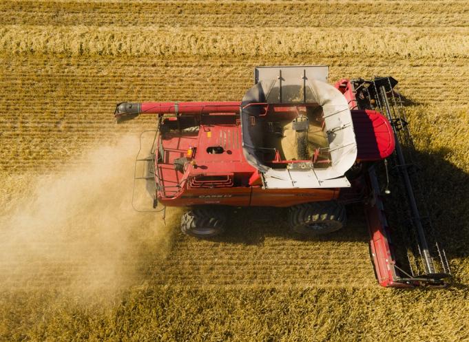 Avec 64,9 M€ de chiffre d’affaires, un résultat net redevenu positif, une capacité d’autofinancement renforcée et des investissements massifs dans l’innovation agronomique, la coopérative gersoise enclenche une nouvelle dynamique territoriale. (Photo Pixabay)