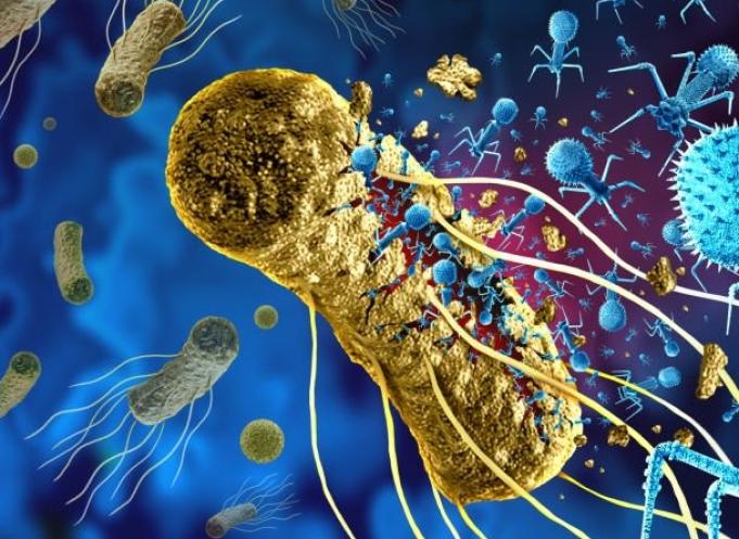 L’unité de production à Montpellier va permettre de traiter jusqu’à 150 sites. (Photo Istock Greenphage)