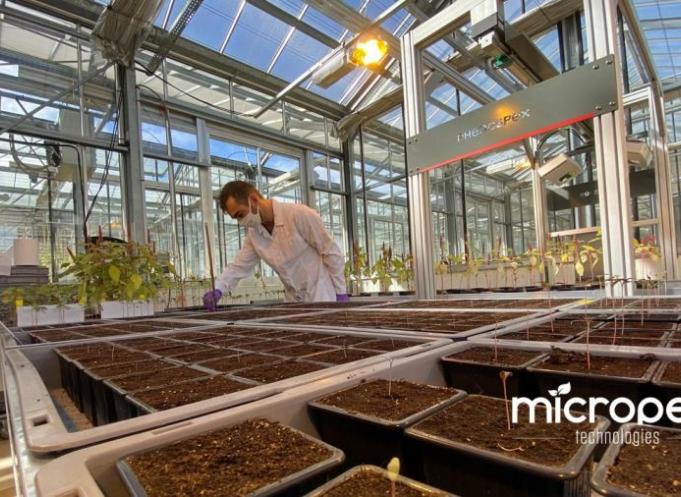 MicroPep a testé sa solution sur de nombreuses plantes différentes