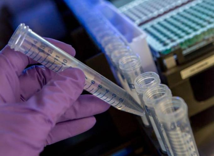 L'Insa deviendra le plus gros centre de R & D en biotechnologies industrielles en Europe