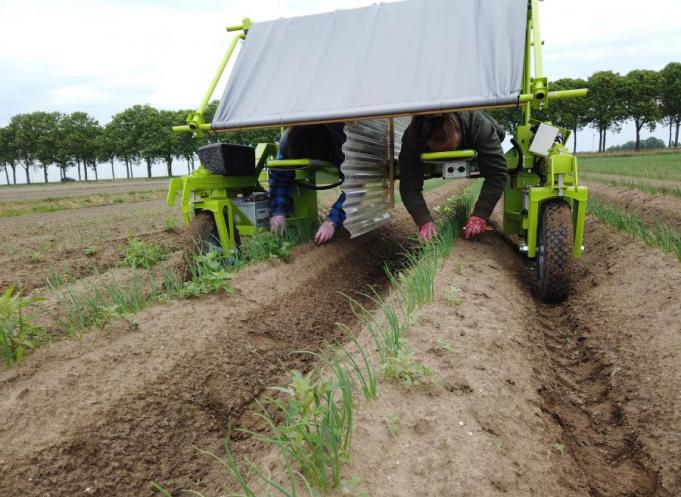 Machine Elatec ergonomique et électrique pour le désherbage, qui permet aux opérateurs de travailler allongés (plus de mal de dos), à l’abri du soleil.