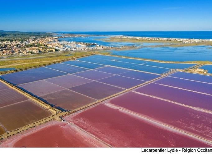 Le Salin de Gruissan attire chaque année près de 500 000 visiteurs sur son site. (Photo : Lydie Lecarpentier/Région Occitanie)