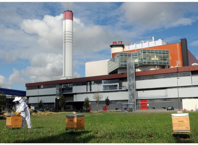 Biocenys connecte ses ruches avec BeeGuard, photo de la Setmi à Toulouse gérée par Veolia