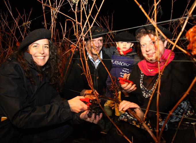 Les participants ont récolté les dernières grappes de l'année 