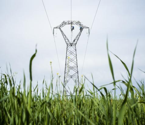 La consommation électrique repart légèrement à la hausse en Occitanie. En 2025, elle atteint 37,2 TWh, soit +1,1 % par rapport à 2024. (Photo RTE)