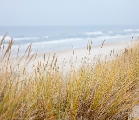 Depuis 2019, « Avenir littoral » a permis de distinguer 36 projets, portés par plus de 87 acteurs territoriaux et soutenus conjointement par l’État et la Région à hauteur de 5,4 millions d'euros. (Photo Pixabay). 