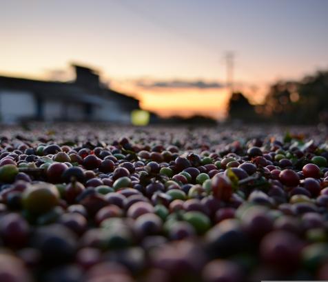 Un projet d’envergure qui relie technologie spatiale, enjeux agricoles mondiaux et savoir-faire développé en Occitanie. (Photo Pixabay)