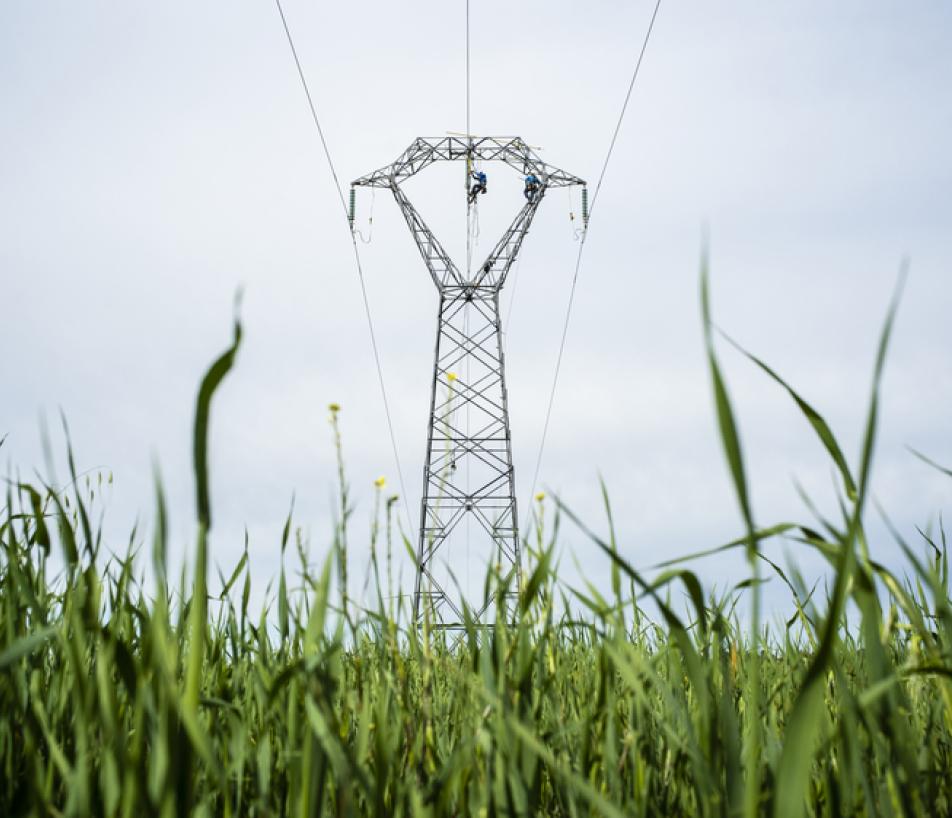 La consommation électrique repart légèrement à la hausse en Occitanie. En 2025, elle atteint 37,2 TWh, soit +1,1 % par rapport à 2024. (Photo RTE)