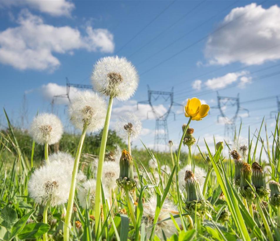 RTE a fortement renforcé ses investissements en Occitanie en 2024, injectant 205 millions d'euros dans les infrastructures et près de 300 millions d'euros dans le tissu économique régional, pour accompagner la montée en puissance du mix énergétique local. (Photo RTE)