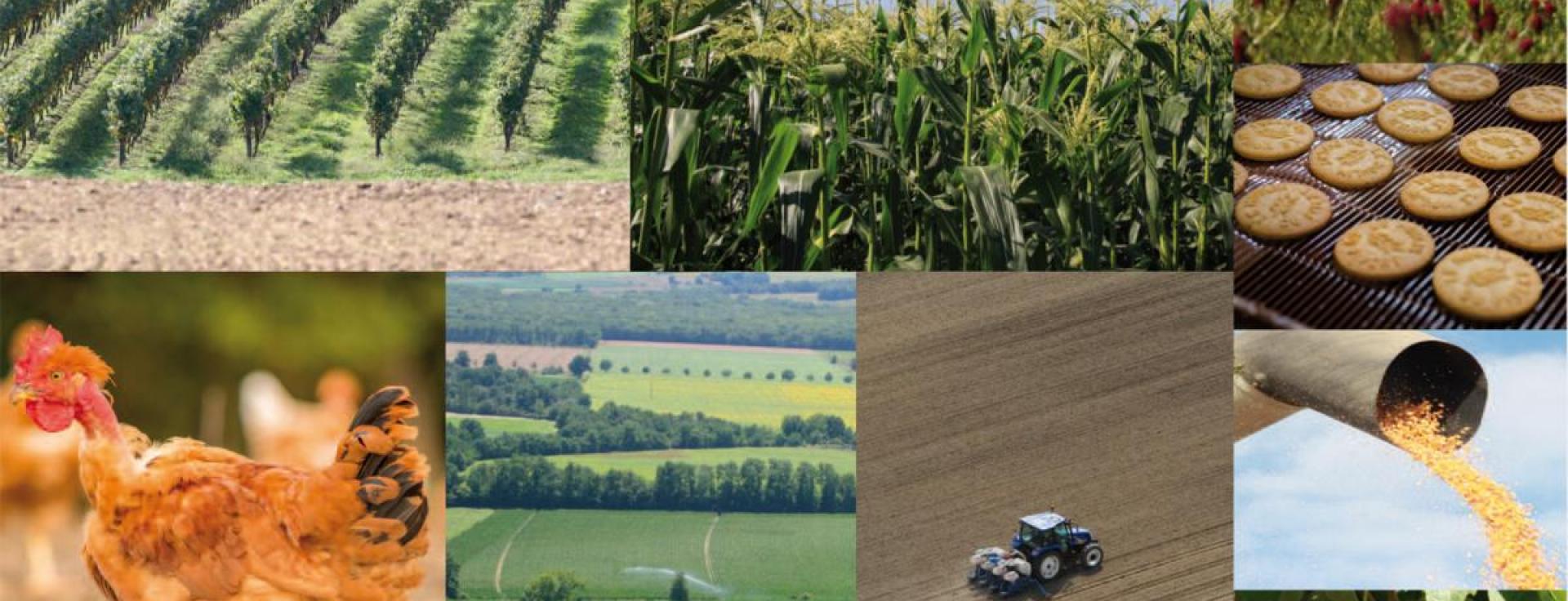 L’Occitanie bien placée pour la transition vers une alimentation plus saine et de qualité