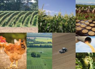 L’Occitanie bien placée pour la transition vers une alimentation plus saine et de qualité  